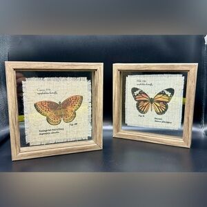 Set of 2 Framed Butterfly Pictures